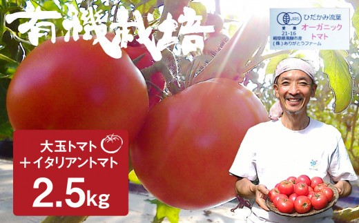 【先行予約】《期間・数量限定》ひだかみ流葉　コクと旨味の有機大玉トマト 有機JAS認定 合計1kg