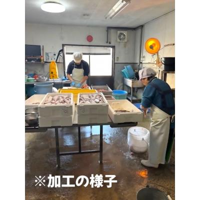 ふるさと納税 米子市 安藤水産詰合せA |  | 01