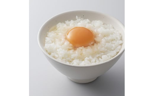 生で食べて美味しい　アロウカナ　奈良たまご　30個セット　6個×5パック　幸せの青いたまご　奈良養鶏園　農場HACCP認証　船橋産　希少　卵　玉子　鶏卵　たまごかけご飯　TKG