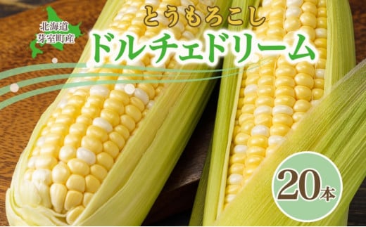 【2025年分先行予約】北海道十勝 芽室町産  とうもろこし ドルチェドリーム 20本 【2025年8月発送】me035-031c-25