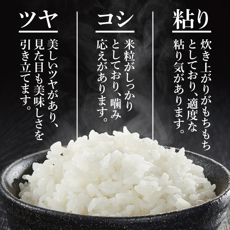 令和7年産茨城県特別栽培認証 清明川コシヒカリ白米5kg×2袋　米 おこめ こしひかり  特別栽培米 農家直送 直送 茨城県 阿見町（04-02-1）