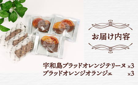 ブラッドオレンジ チョコ セット 久遠チョコレート おすすめ テリーヌ 3枚 オランジェ 3袋 チョコ チョコレート ドライ フルーツ 洋菓子 菓子 お菓子 スイーツ ギフト プレゼント 詰め合わせ 