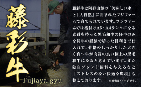 肉 藤彩牛 2種の食べ比べ カルビ バラ 200g ローススライス 300g 計 500g 道の駅竜北  熊本県 氷川町 肉 牛肉 バラ カルビ 焼肉 ロース スライス 黒毛和牛 ふるさと納税 A4～