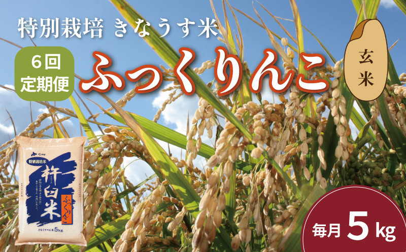 
            【玄米6ヶ月定期便】特別栽培「きなうす米」ふっくりんこ5kg×6回　K009
          