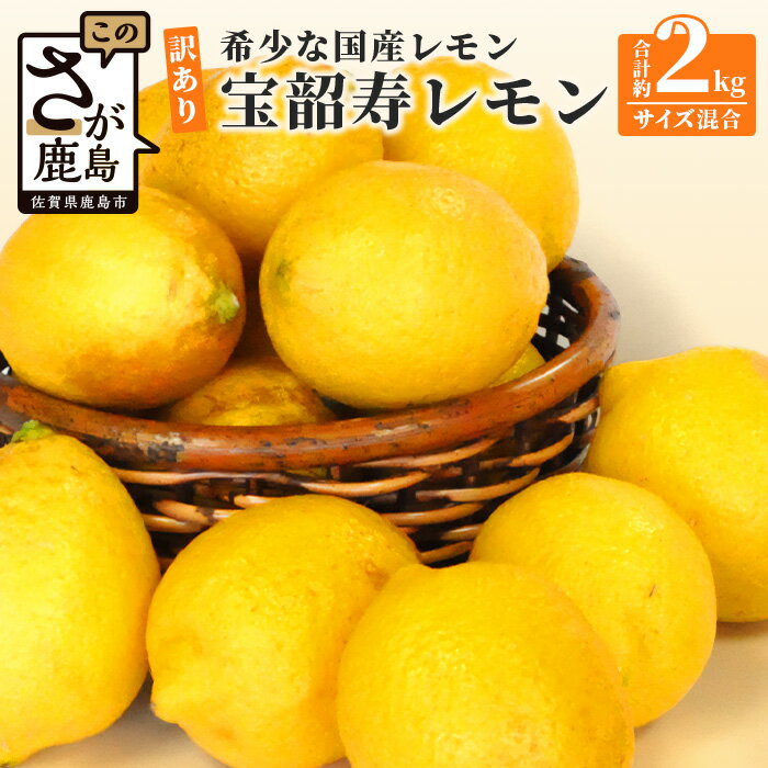【ふるさと納税】希少な国産レモン【宝韶寿レモン】訳アリ　約2kg（サイズ混合）【5月中旬より順次発送予定】柑橘 檸檬 ご自宅用 お菓子 料理 お酒 希少品種 佐賀県鹿島市 送料無料 B-127