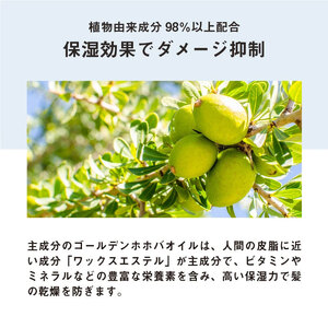 LUTY ルーティー スタイリングオイル ライト/リッチ 100ml スタイリング リッチ ライト ヘアケア 人気 プレゼント オイル パサつき ダメージ 乾燥 広がり しっとり まとまる ふんわり 