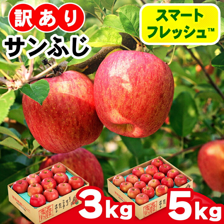 【ふるさと納税】家庭用 りんご サンふじ スマートフレッシュ™ 見た目にわけあり 味はそのまま｜青森 つがる 訳あり 訳アリ リンゴ りんご 林檎 青森産 青森りんご フルーツ 果物 ふるさと納税 [0793-0795]