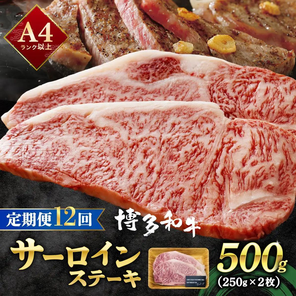  ＜定期便・全12回＞A4ランク以上！博多和牛 サーロインステーキ 500g（250g×2枚）