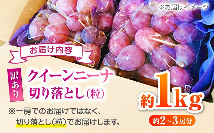 訳あり クイーンニーナ ぶどう 切り落とし 約1kg  ブドウ 葡萄 おすすめ 国産 熊本県 山鹿 果物 くだもの フルーツ