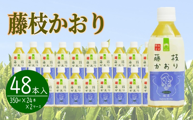 お茶 ペットボトル 緑茶 藤枝かおり 350ml × 24本 静岡茶 2ケース 茶葉 おちゃ 箱 まとめ買い 飲料水 常備 防災 飲み物 飲料 備蓄 保存 災害 静岡県 藤枝市