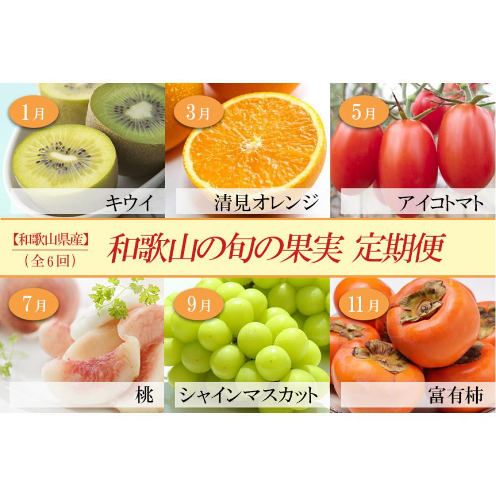 【ふるさと納税】和歌山の旬の果実を 奇数月にお届け全6回定期便【TM49】