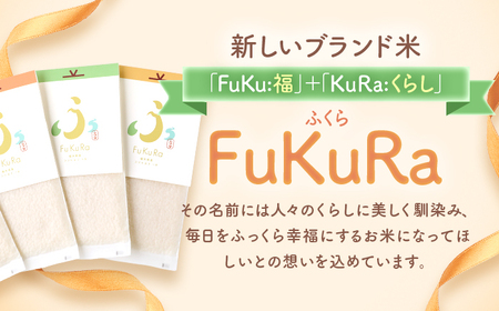 【令和7年産】『FuKuRa』無洗米真空パックこしひかり1合・20パック 小浜市 / シマダ農園 [BFAV008]