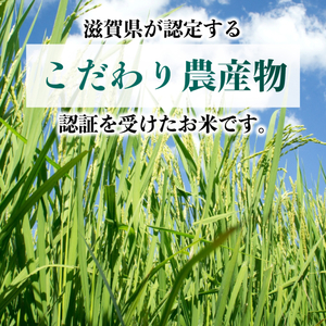【令和7年産】 ミルキークイーン 4kg(2kg×2) 白米 特別栽培米 精米 滋賀県 彦根市 ミルキークイーン