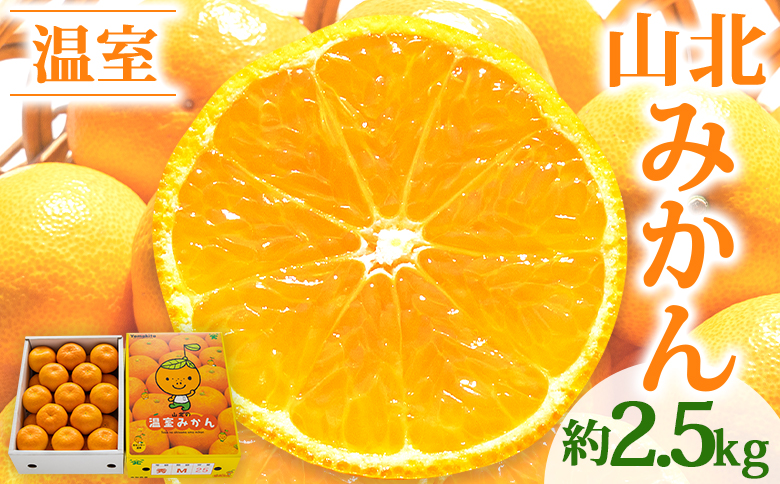 みかん 2.5ｋｇ 秀品 山北温室みかん2.5kg ハウスみかん 果物 柑橘類 蜜柑 糖度高め フルーツ ku-0030