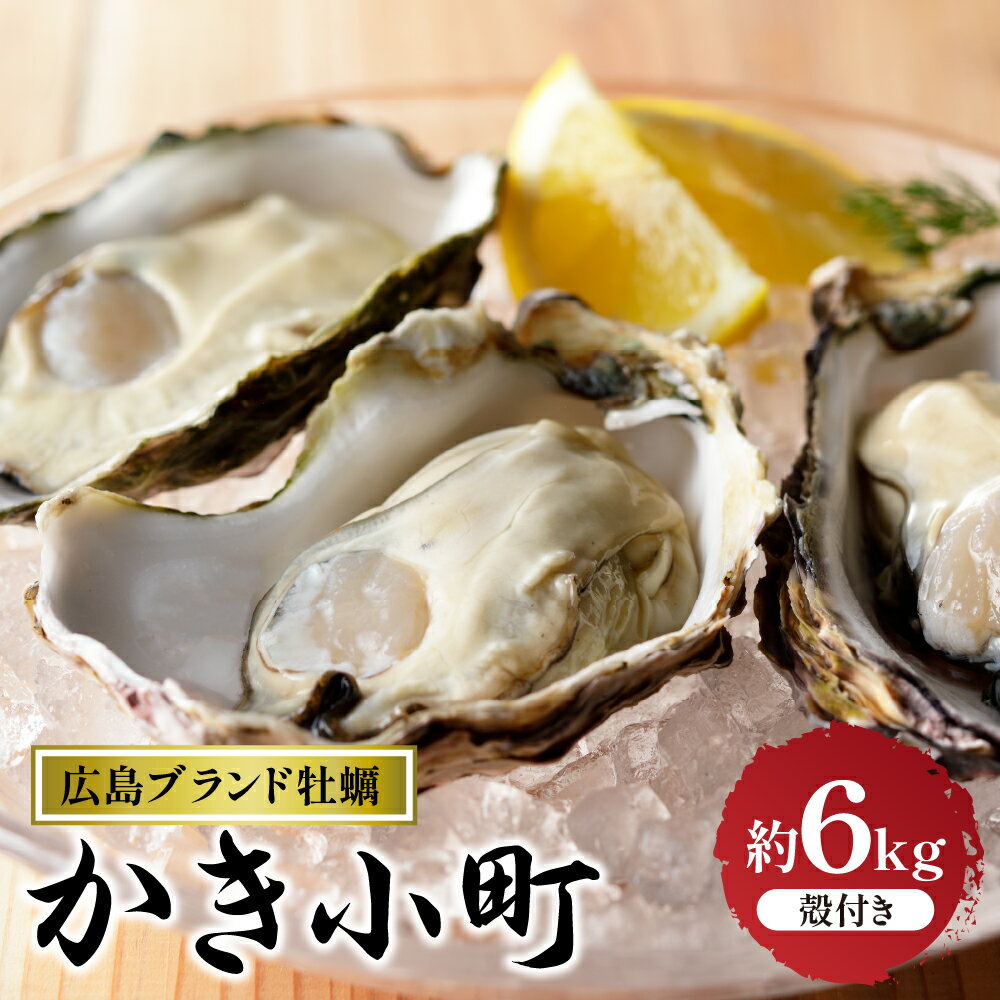 【ふるさと納税】 先行予約 【 2025年 12月 より発送】丸十水産 広島ブランド牡蠣 殻付き かき小町 約6kg (30〜42個) 冷蔵便 国産 生牡蠣 生食 音戸産 牡蠣 かき カキ 旨味 濃厚 新鮮 美味しい 冬 旬 先行受付 送料無料 お取り寄せ 産地直送 広島県 呉市