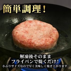 ハンバーグ 約80g × 15個 (約1.2kg) 卵 牛乳 不使用 国産和牛 茶美豚 THE MEAT SHOP ANINAL  【ハンバーグ】