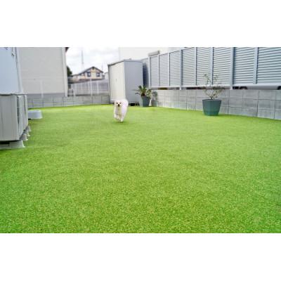ふるさと納税 橋本市 ガーデニングや庭の景観改善に使用　雑草を防ぎ草抜き作業を軽減　枯草が混じる冬の人工芝防草シート |  | 02