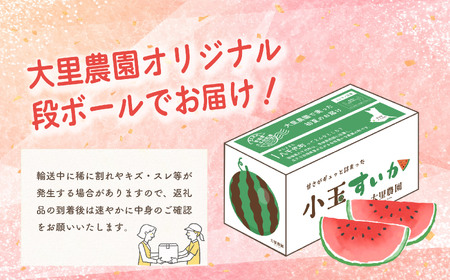 【 先行予約 2025年7月上旬以降発送 】八千代町産　小玉スイカ 姫甘泉ブラック 1箱（2玉入） 黒皮 すいか [SF004ya]