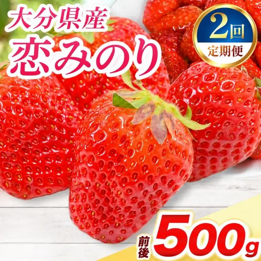 【定期便2回】恋みのり × 2パック ( 約500g ) ( 1パック/250g前後 ) | いちご ベリー フルーツ 果物 産地直送 大分県 中津市