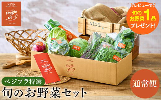 旬の新鮮なお野菜を産地直送！ベジプラ特選 旬の野菜セット【1回お届け 】 / 野菜 詰め合わせ セット 野菜セット 新鮮 ギフト やさい 苦みが少ない 甘みが強い Veggie de＋【野菜例：キャベツ 水菜 ミニトマト レタス とろり葱 ほうれん草等】【レビューキャンペーン中】