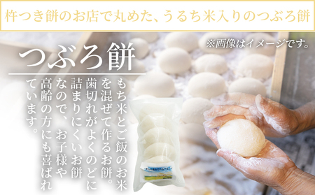 ＜樋口餅店の杵つきつぶろ餅 20個＞ もち 餅 モチ 丸もち オモチ うるち米 もち米 ぜんざい お汁粉 おしるこ 雑煮 お雑煮 正月 お正月 食品 樋口餅店 愛媛県 西予市【冷凍】『1か月以内に順次