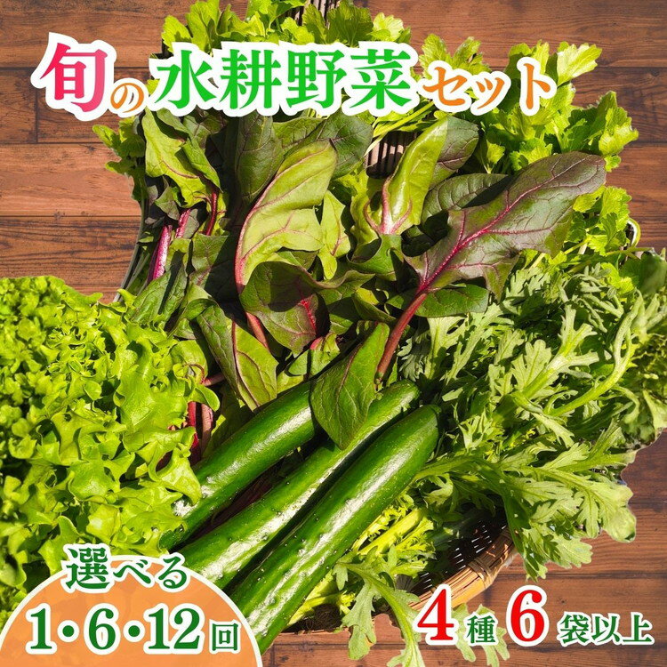【ふるさと納税】野菜 定期便 旬の水耕野菜セット 4種6袋以上 《1回 定期便6回 定期便12回》 京都 亀岡産 産地直送 詰め合わせ 冷蔵 季節の野菜 やさい ※配送不可地域あり