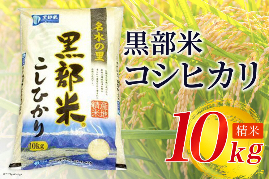 
            [№5313-0029]米 令和6年 黒部米 コシヒカリ 10kg  精米 白米 こしひかり 米/黒部市農業協同組合/富山県 黒部市【ご飯 名水】
          