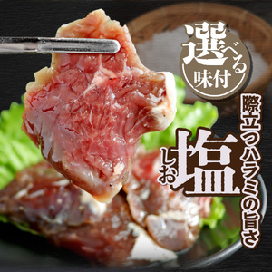 牛ハラミ 塩漬けダレ 1.2kg (400g×3pc) a163-010