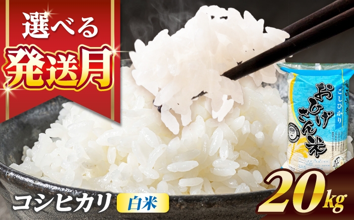 
                  米 【選べる発送月】 コシヒカリ 白米 20kg 米 お米 20kg 20キロ 白米 精米 コメ ご飯 ごはん 愛知県産 国産 県産米 国産米 コシヒカリ こしひかり 発送 時期 選べる 産地直送 大容量 令和7年 愛西市 / 脇野コンバイン [AECP023]
                