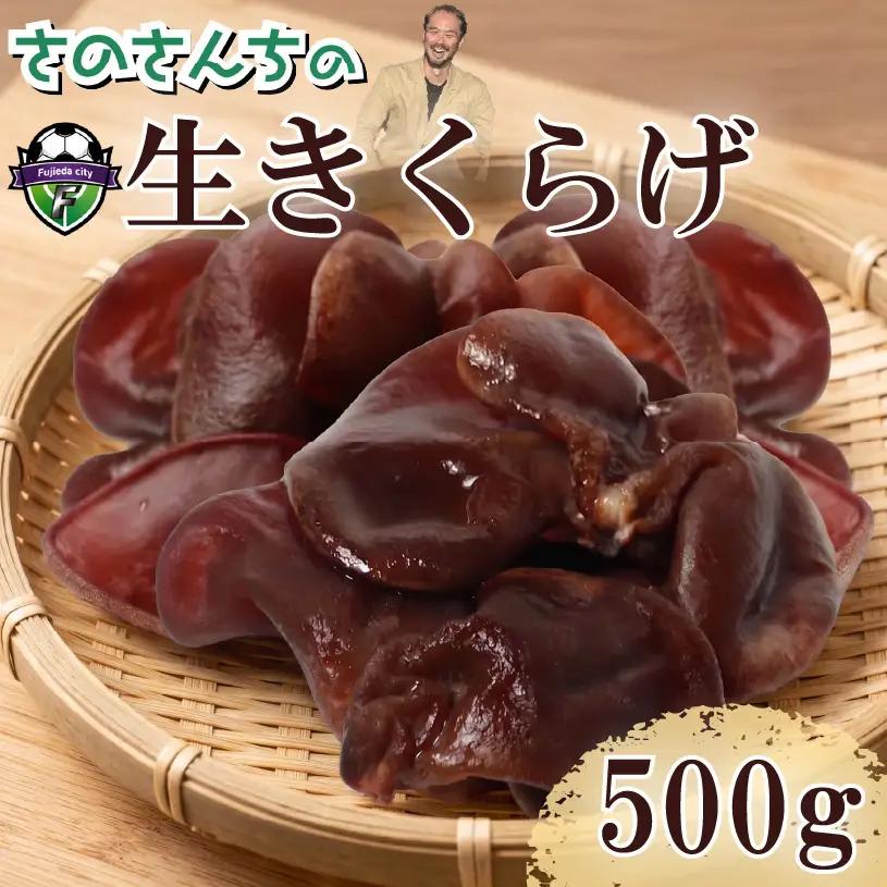 生きくらげ 500g きくらげ きのこ