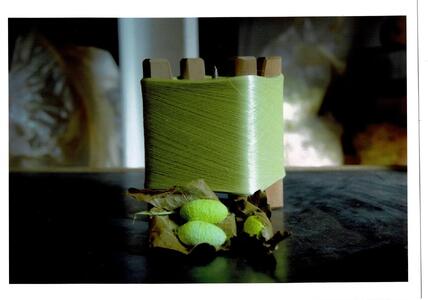 Joie de Sole UVベース 30g