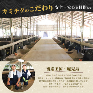 薩摩牛 スライス 3種盛り 600g IB112-006