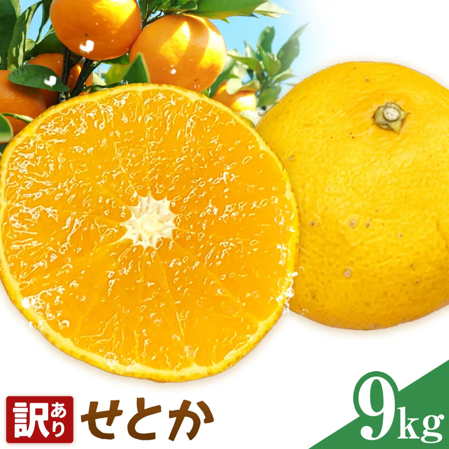 せとか 訳あり 9kg(52-58玉前後) 