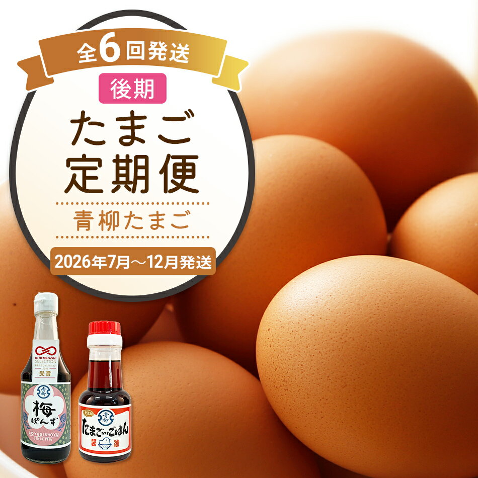 【ふるさと納税】たまご後期定期便 6回発送（初回のみ醤油付き・たまご20個）20個×6回 合計120個 定期便 6ヶ月 卵 おうはん卵 青柳たまご 送料無料 【2026年7月〜12月の計6回お届け】