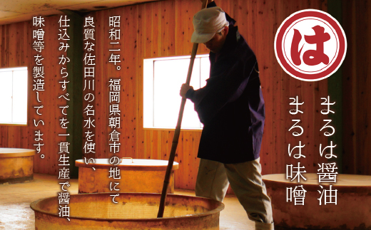 4A17 博多もつ鍋セット(九州味噌仕立て) 2～3人前 国産牛もつ300g