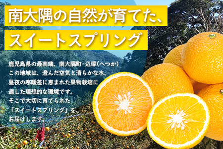 【数量限定】鹿児島県南大隅産スイートスプリング 5kg 【2025年12月下旬より順次発送】｜柑橘 くだもの 果物 フルーツ スイートスプリング 食品 人気 おすすめ 南大隅 新鮮 産地直送 爽やか 