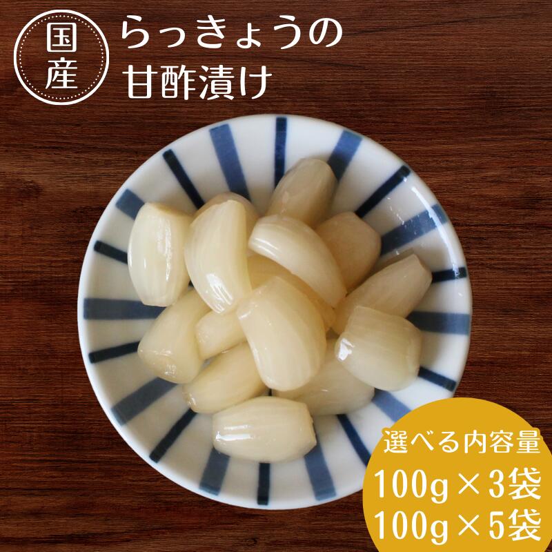 【ふるさと納税】らっきょうの甘酢漬け【選べる容量100g×3 100g×5】 / 無添加 漬物 ごはんのおとも 惣菜 和歌山 田辺市