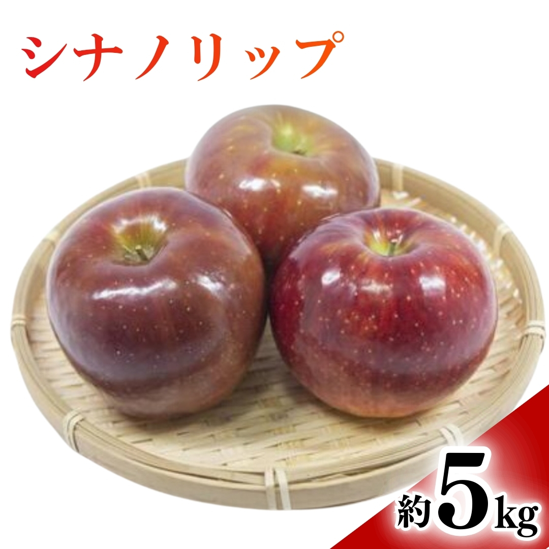 【2026年先行予約】りんご シナノリップ(長野県オリジナル品種) 約5kg | りんご 林檎 リンゴ 信州りんご 長野県 千曲市