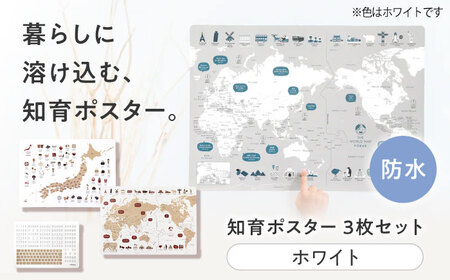 知育 知育ポスターホワイト 3枚セット 日本地図 世界地図 知育 教育 BJBA007