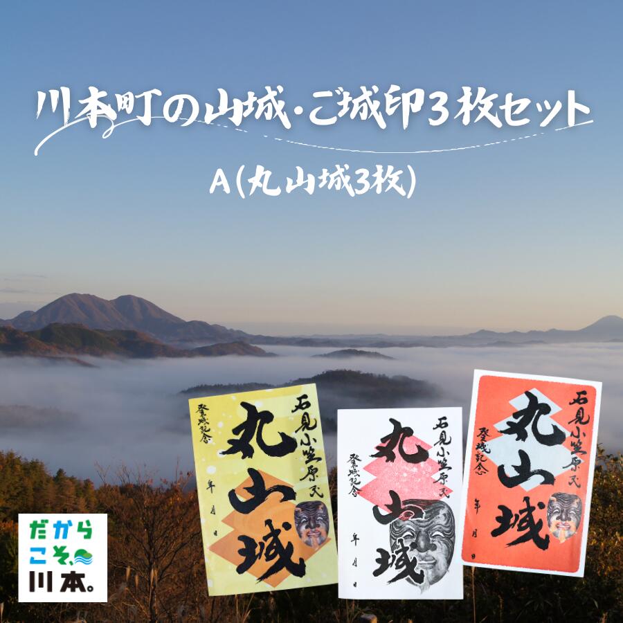 【ふるさと納税】川本町の山城・御城印3枚セット A(丸山城3枚)