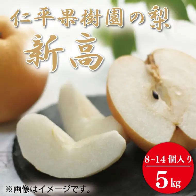 梨 新高 5kg 先行予約 2026年発送 仁平果樹園 益子町産 DB004