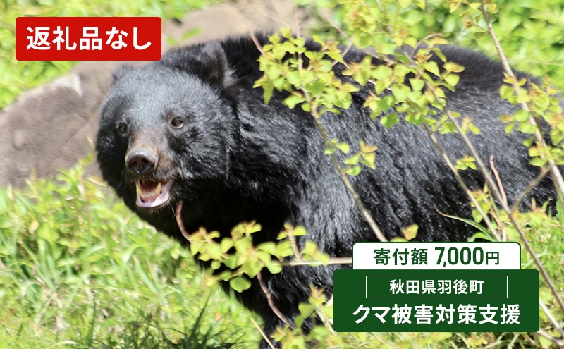 
                  【返礼品なし】クマ被害対策支援（秋田県羽後町）7,000円 応援 支援 寄附のみ【羽後町ふるさと納税】
                