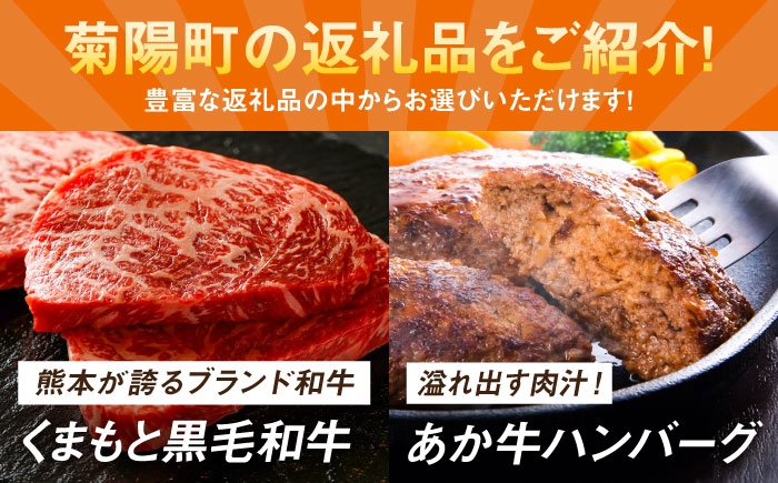 菊陽町ふるさとギフト 100万円分 肉  ラーメン ハンバーグ ハラペーニョ 馬刺し 味噌 あとから 野菜 熊本県 菊陽町