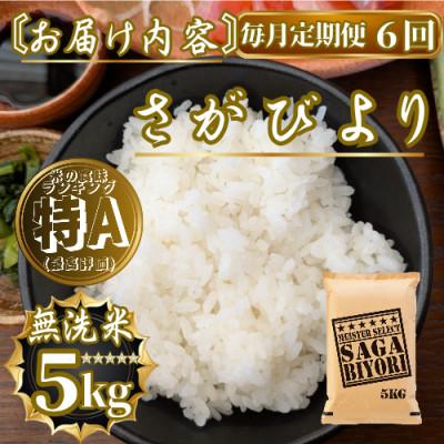 ふるさと納税 佐賀県 【毎月定期便】【無洗米】さがびより5kg(佐賀県)【41ANAD019】全6回 |  | 03