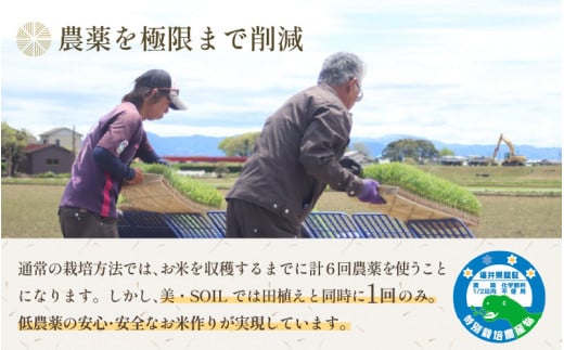 【先行予約】【令和8年産 新米】《定期便》5kg×6回 30kg 特別栽培米 コシヒカリ 低農薬 《食味値85点以上！こだわり極上米》 / 福井県 あわら 北陸 米 お米 人気 高品質 鮮度抜群 新米