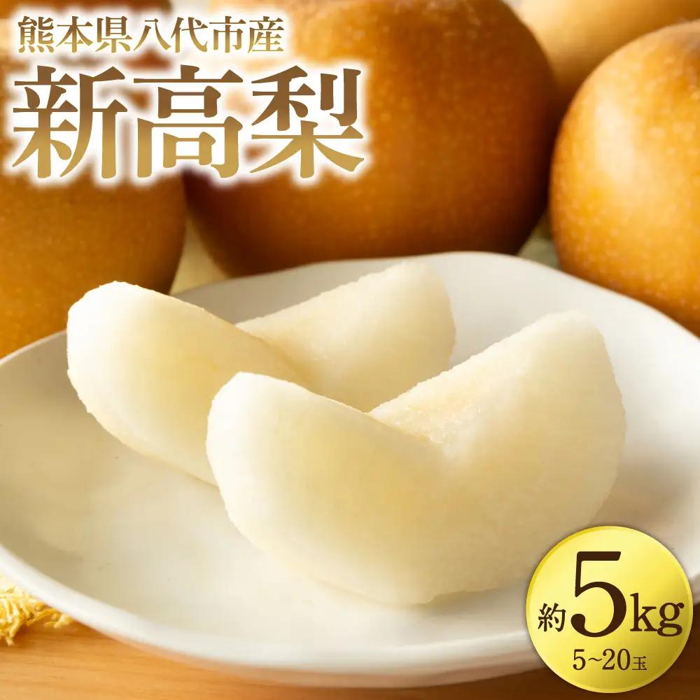【先行予約】 新高梨 約5kg (5～20玉)  梨 なし ナシ フルーツ くだもの 果物 旬 熊本県 八代市 【2026年9月中旬より順次発送】