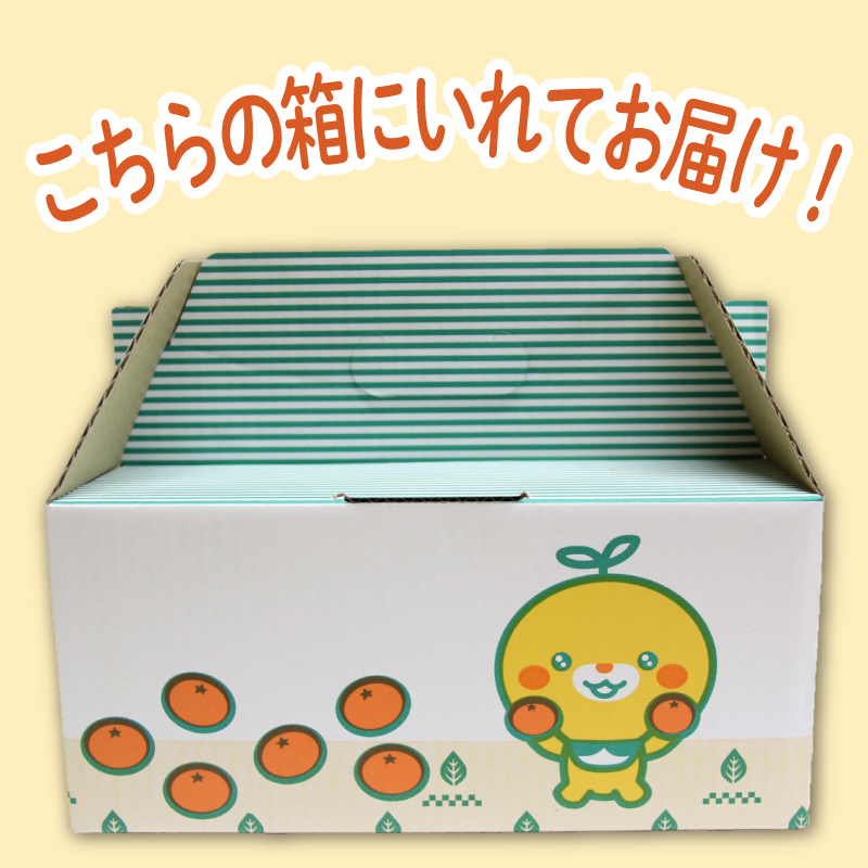 【先行予約】【2024年11月下旬頃から発送】 みかん あいか28号 1.5kg（5～8玉） 愛媛 みかん あいか あいか28号 愛果 愛果28号 紅マドンナ 紅まどんな 蜜柑 柑橘 果物 贈答 愛媛