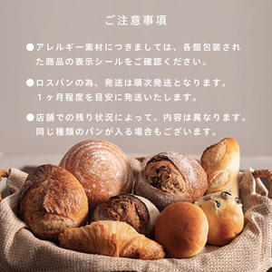 【訳あり】 天然酵母 ロスパン 詰め合わせ ロスパン CT05