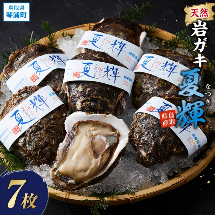 【ふるさと納税】天然岩ガキ【夏輝】7枚 | カキ 魚介類 水産 食品 人気 おすすめ 送料無料