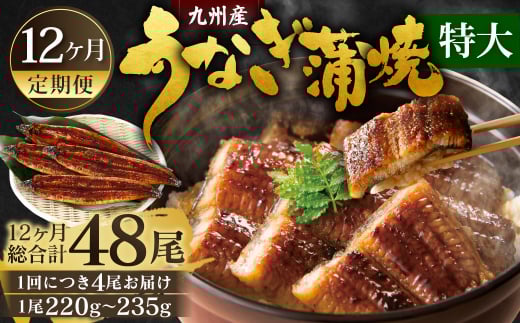 【12ヶ月定期便】九州産 うなぎ蒲焼 特大4尾 (1尾あたり220～235g)  合計48尾 たれ 山椒 鰻 ウナギ 蒲焼き 国産 冷凍 鹿児島、宮崎、熊本等産うなぎ原料使用